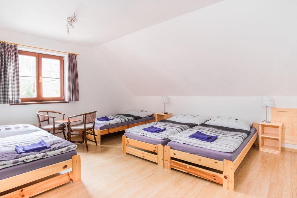 Hotel Ubytovani Krkonose à Horni Lanov Extérieur photo